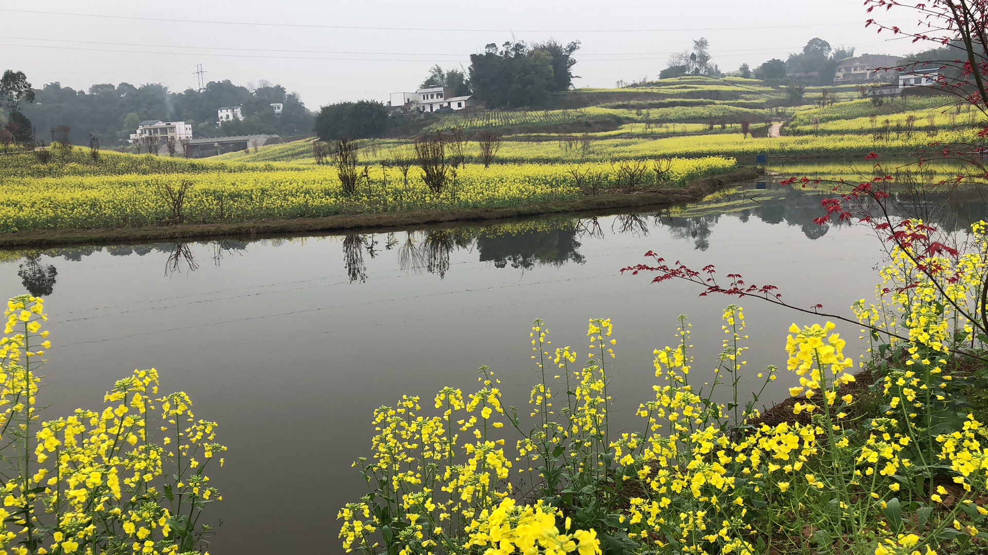 �o���Џ����(zh��n)�����һ��]�(xi��ng)Ŀ